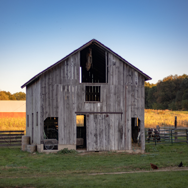 rustic timber framed barn in grassy field