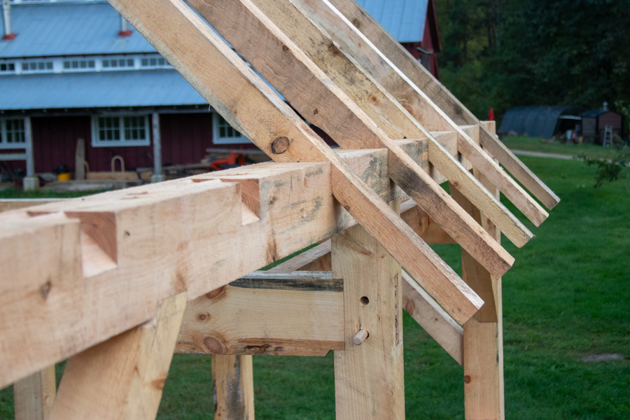 timber framing rafters on shed